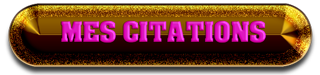 05_mes_citations