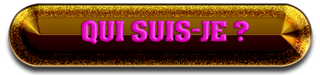 qui_suis_je