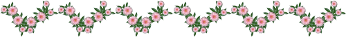 bas_de_page_marguerites