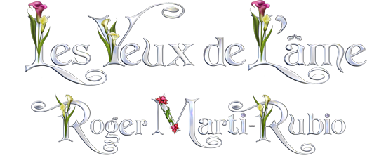 le_reflet_de_l_ame