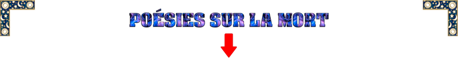 titre_5