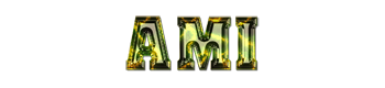 14_ami