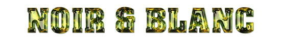 17_noir_&_blanc