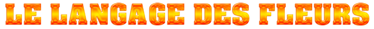 07_le_langage_des_fleurs