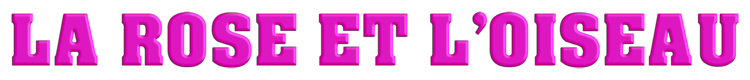 18_la_rose_et_l_oiseau