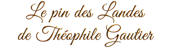 le_pin_des_landes_de_theophile_gautier